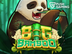 Online bingo casino app13